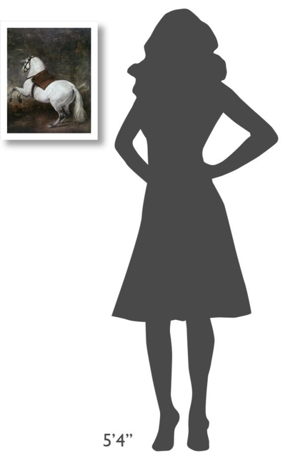 "A White Horse" Digital Paper Print by Diego Velazquez, 15"x18"