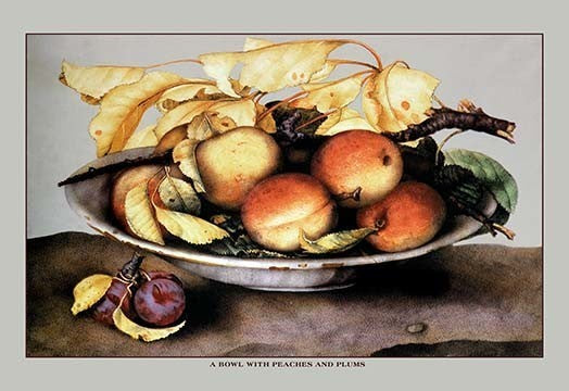 A Bowl with Peaches and Plums- Gallery Wrapped Canvas Art 28" x 42"