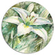 White Lily Painting, Floral Wall Large Disc Metal Wall Art, 23"