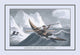 Greenlanders Seal Catching- Fine Art Giclee Print 24" x 36"