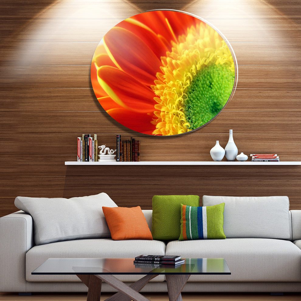 Gerber Daisy Flower Petals, Floral Large Disc Metal Wall Art, 36"