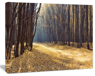 Path in the Fall Forest Panorama, Forest Canvas Art Print, 40"x30"