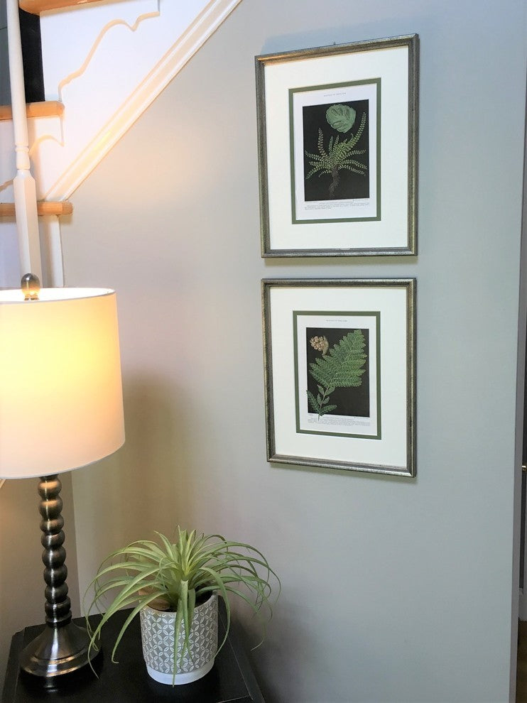 Original Vintage 1925 Botanical Fern Framed Prints Set Of 2