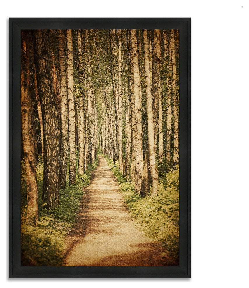 "The Old Aspen Trail", Framed Photograph Print, Ready To Hang