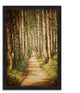 "The Old Aspen Trail", Framed Photograph Print, Ready To Hang