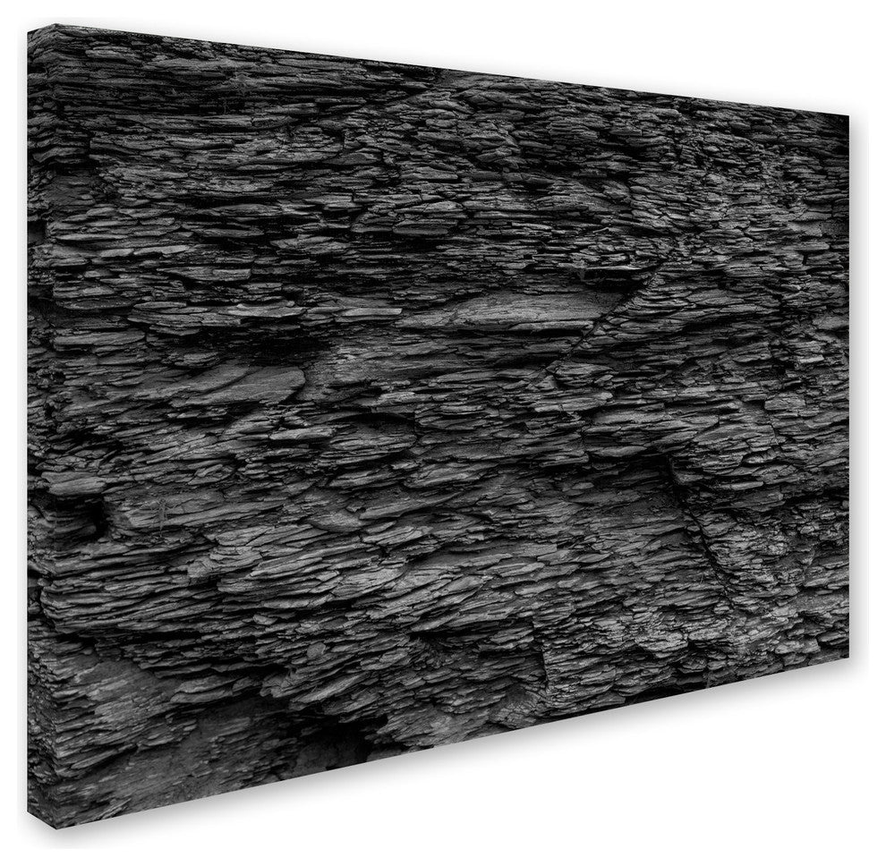 Kurt Shaffer 'Shale Abstract in Black and White' Canvas Art