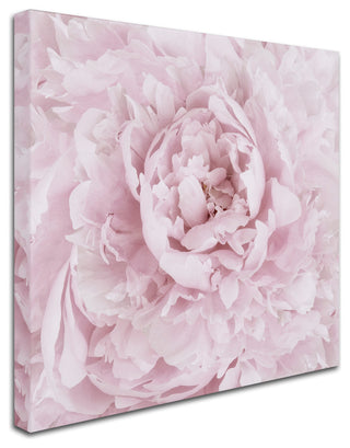 Cora Niele 'Pink Peony Flower' Canvas Art