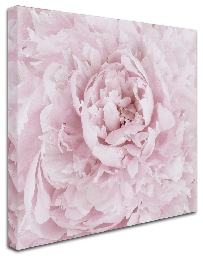 Cora Niele 'Pink Peony Flower' Canvas Art