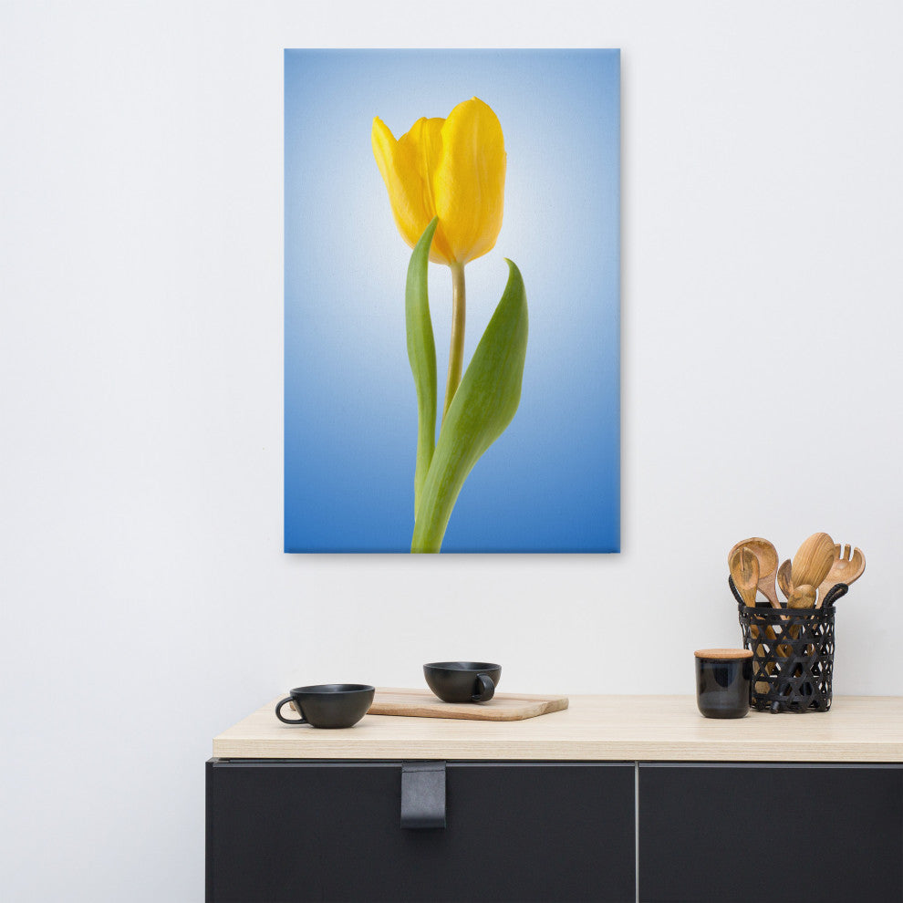 Yellow Tulip Minimal Botanical Floral Nature Photo Canvas Wall Art Print, 24" X 36"