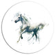 White Horse In Motion On White, Animal Round Metal Wall Art, 23"