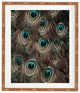 Ingrid Beddoes Peacock Feathers III Framed Wall Art, 14x16.5"