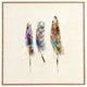 Deny Designs Brian Buckley Free Feathers Framed Wall Art