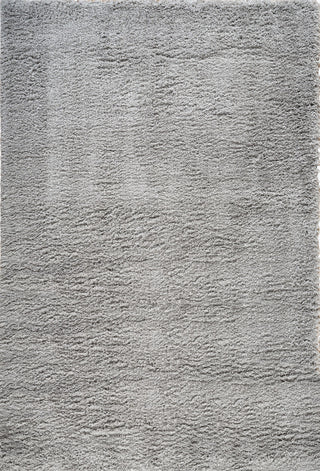 Shag Ivy Gray/Rug, Gray, 4'3"x6'