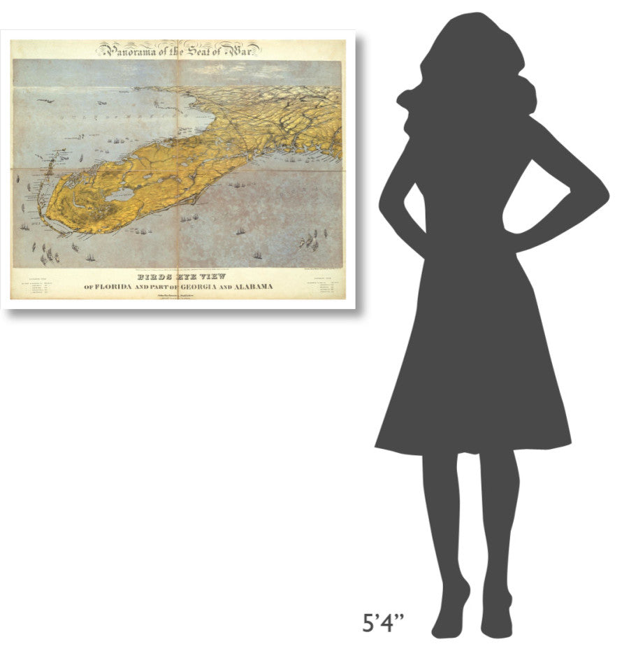 "Florida and Part of Georgia and Alabama, 1861" Print by John Bachmann, 38"x30"