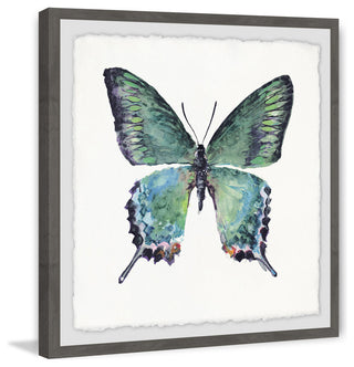 "Watercolor Butterfly" Framed Painting Print, 12"x12"