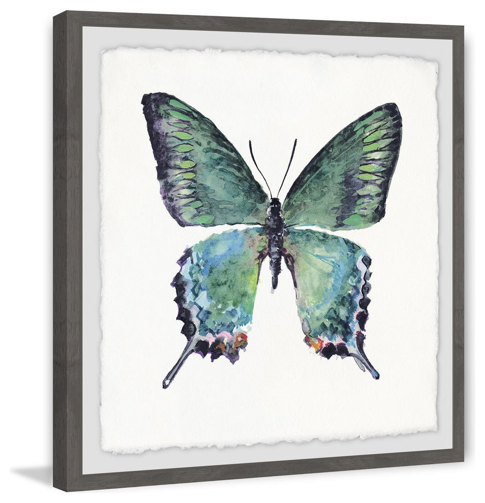 "Watercolor Butterfly" Framed Painting Print, 12"x12"