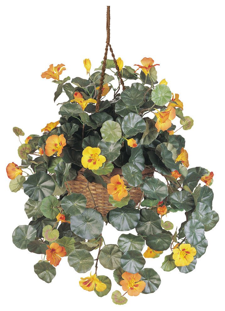 Nasturtium Silk Hanging Basket