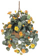 Nasturtium Silk Hanging Basket