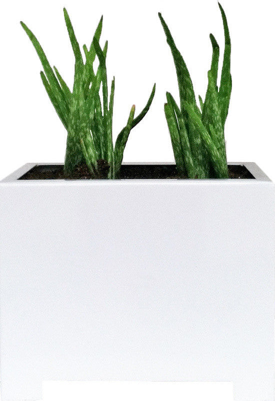 Alora Rectangle Planter, White