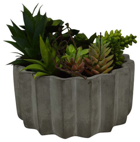Full product on white background; front-facing view showing entire planter with succulents; no text or diagrams.