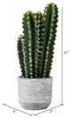 Vickerman 17" Green Cactus in Concrete Pot