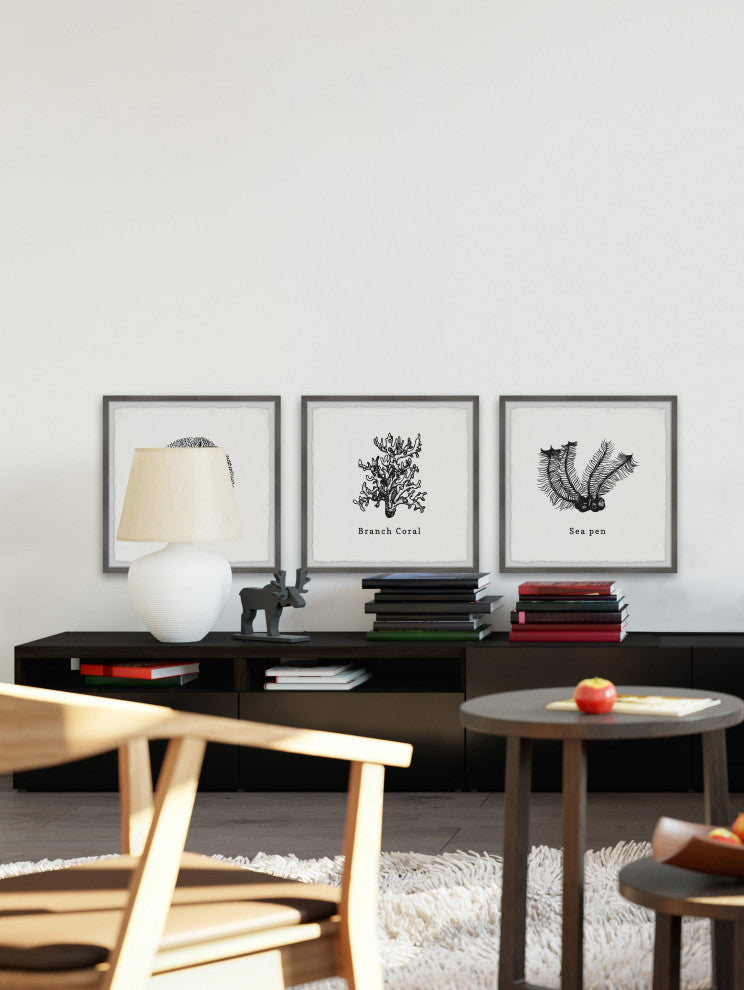 Sea Pen Triptych, 3-Piece Set, 12x12 Panels