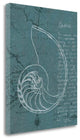 "Coastal Blueprint V Dark" By Marco Fabiano, Giclee Print on Gallery Wrap Canvas