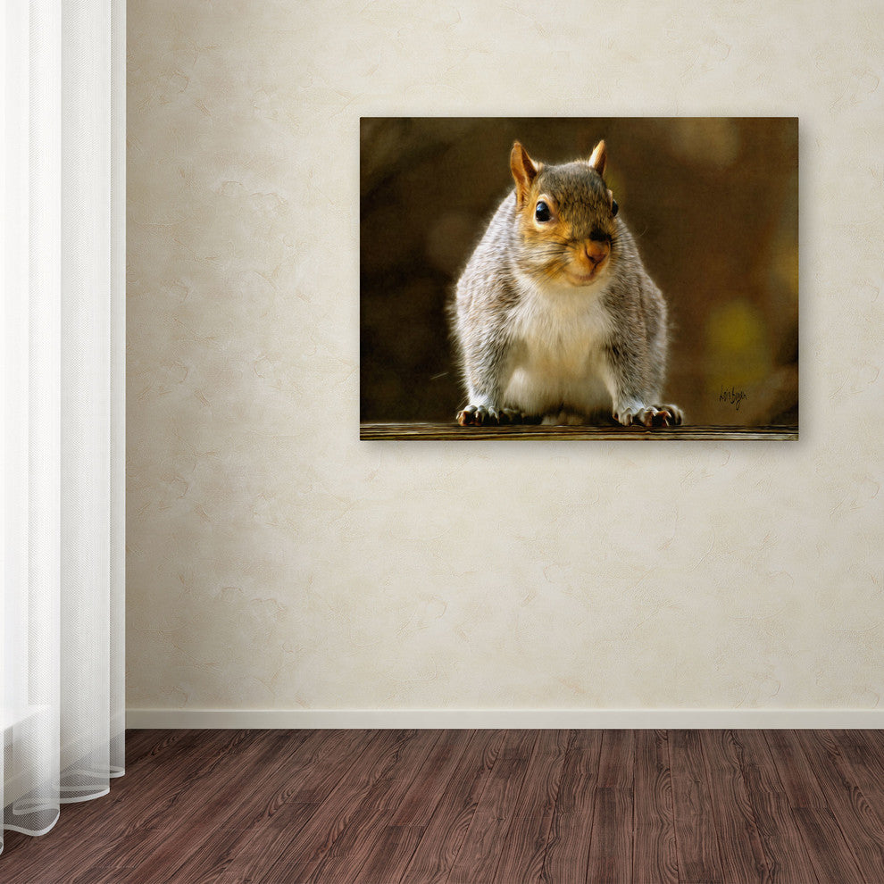 'Smiling Squirrel' Canvas Art by Lois Bryan