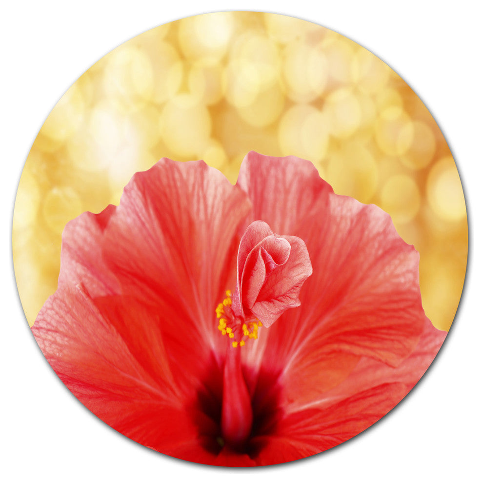Hibiscus Flower With Lit-Up Background, Floral Round Wall Art, 11"