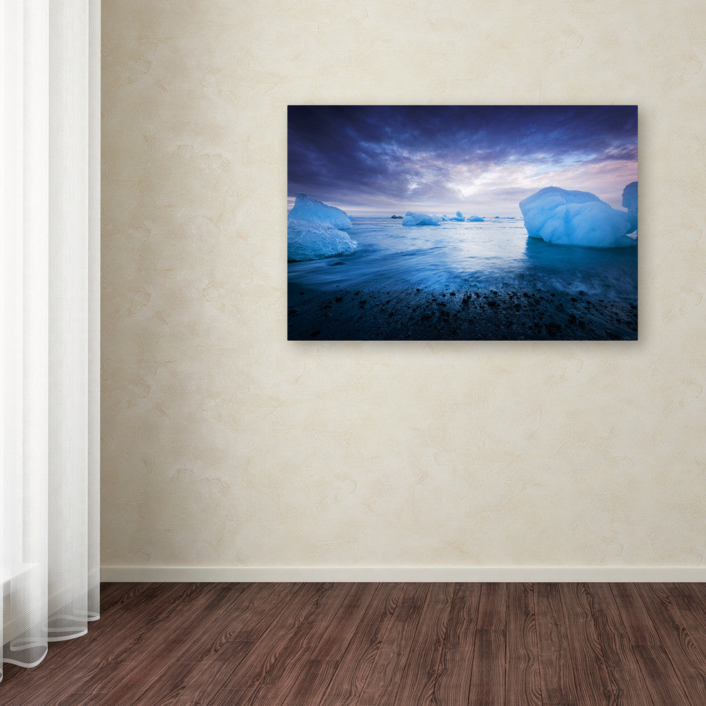 Philippe Sainte-Laudy ''Leave a Trace'' Canvas Art
