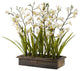 Cream Cymbidium Orchids in Metal Planter