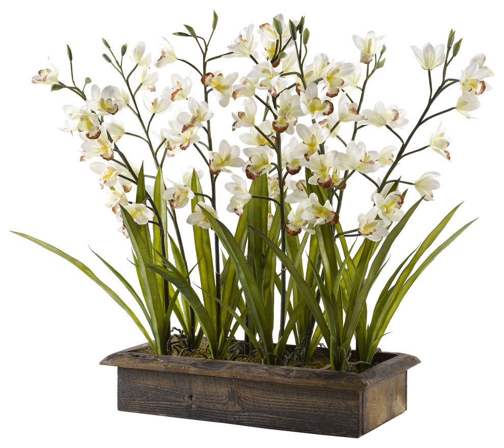 Cream Cymbidium Orchids in Metal Planter