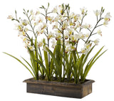 Cream Cymbidium Orchids in Metal Planter