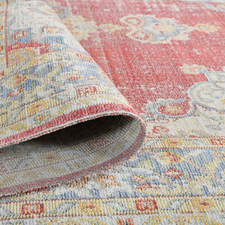 Ceniscia Haven Vintage Polyester Area Rug, Red, 2'6"x8'