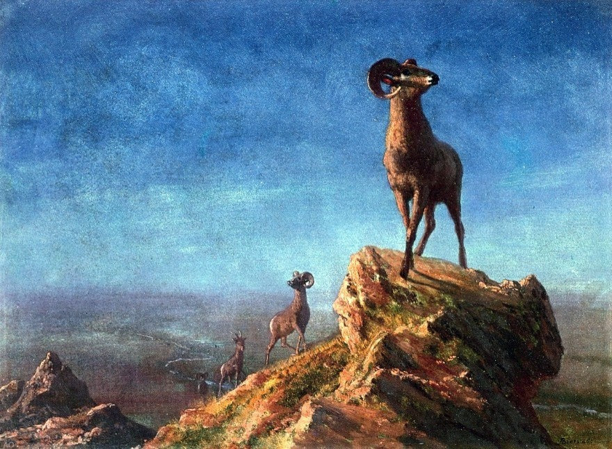 Albert Bierstadt Rocky Mountain Big Horns, 21"x28" Wall Decal