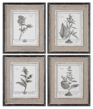 Casual Gray Study Framed Art Set/4 By Designer Grace Feyock