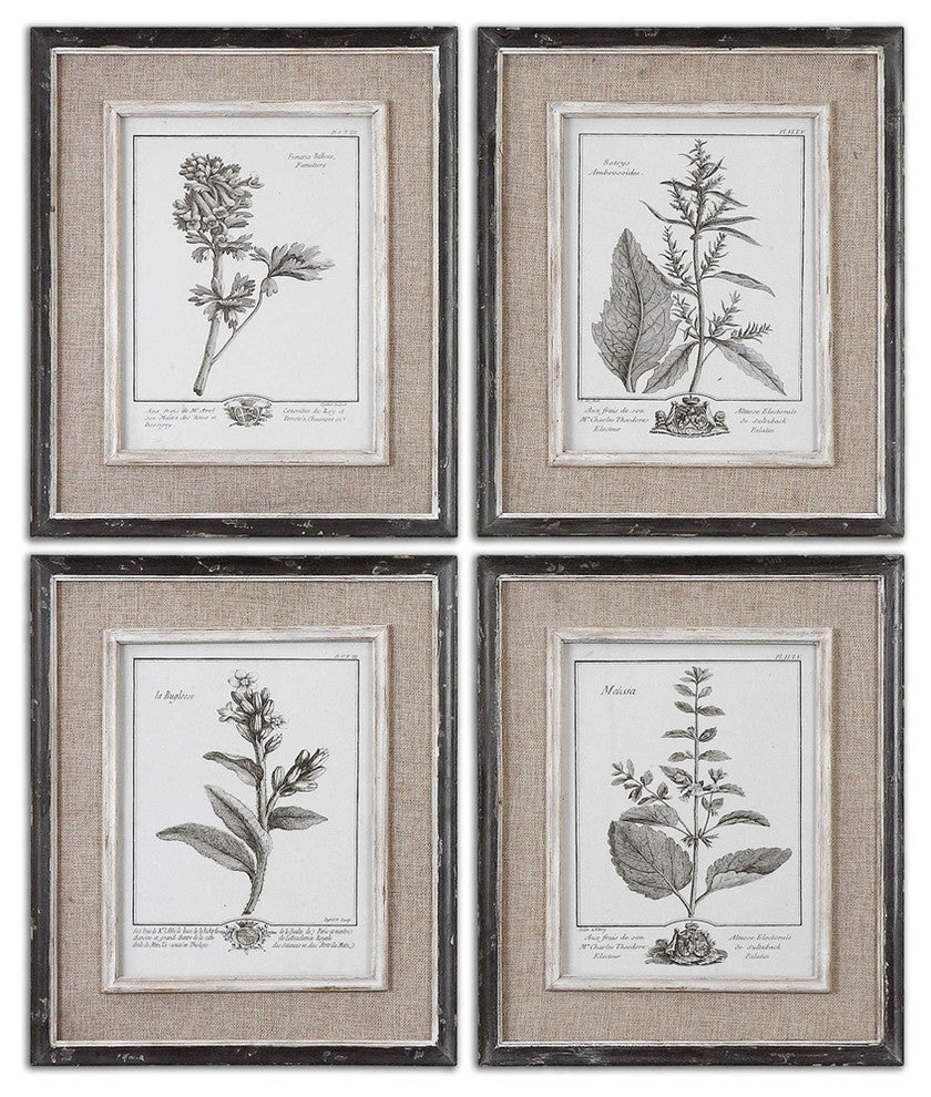 Casual Gray Study Framed Art Set/4 By Designer Grace Feyock