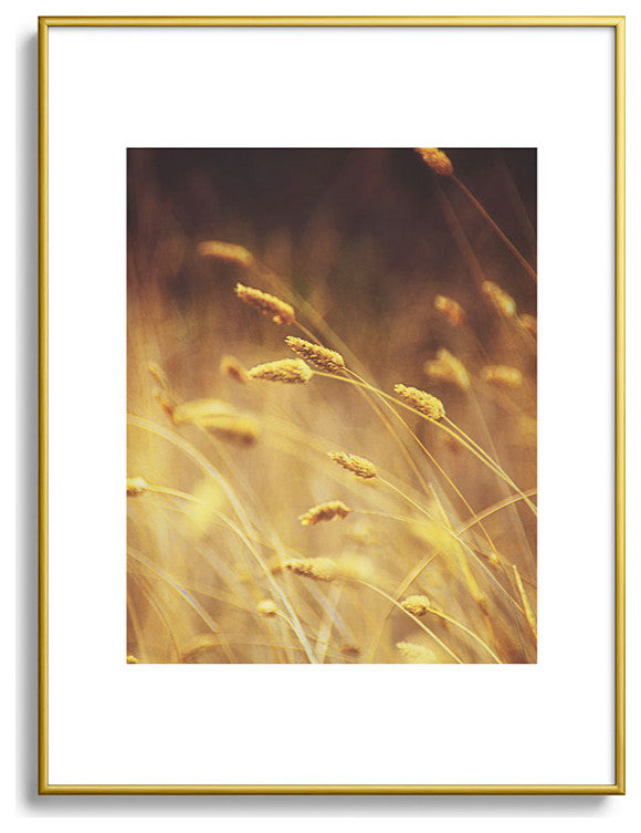 Shannon Clark Amber Metal Framed Art Print
