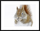 "Christmas Squirrel" Framed Digital Print by Mircea Costina, 32x26"