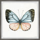 "Tropical Butterfly" Framed Painting Print, 24x24