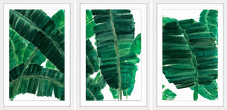 Delacroix II Triptych, 72x36