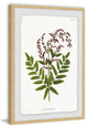 "Sympathy Ferns" Framed Painting Print, 12"x18"