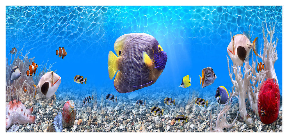 Underwater Universe Panorama, Large landscape Canvas Art Print, 60"x28"
