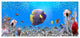 Underwater Universe Panorama, Large landscape Canvas Art Print, 60"x28"