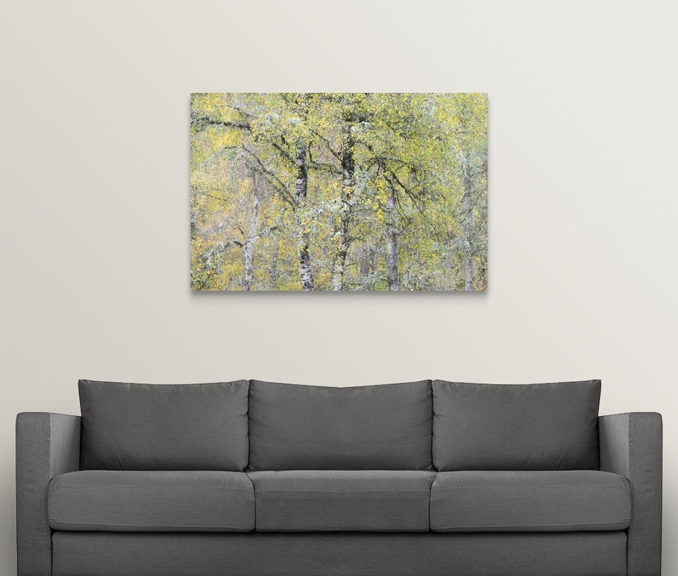 "Greybeard" Wrapped Canvas Art Print, 48"x32"x1.5"