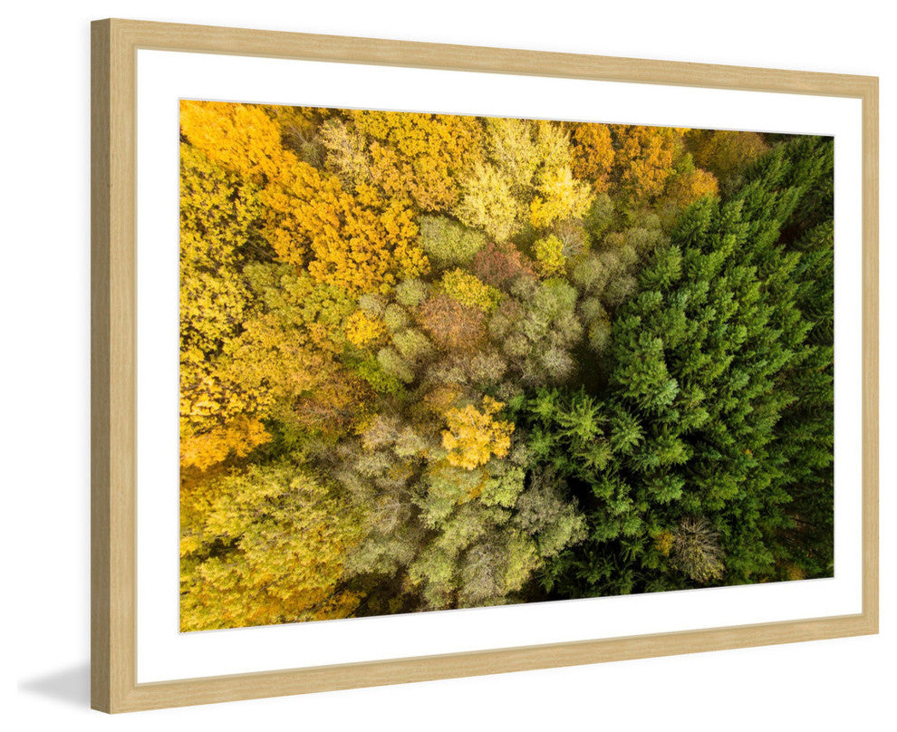 "Dense Growth" Framed Print by Karolis Janulis