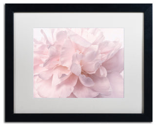 Cora Niele 'Pink Peony Petals II' Matted Framed Art