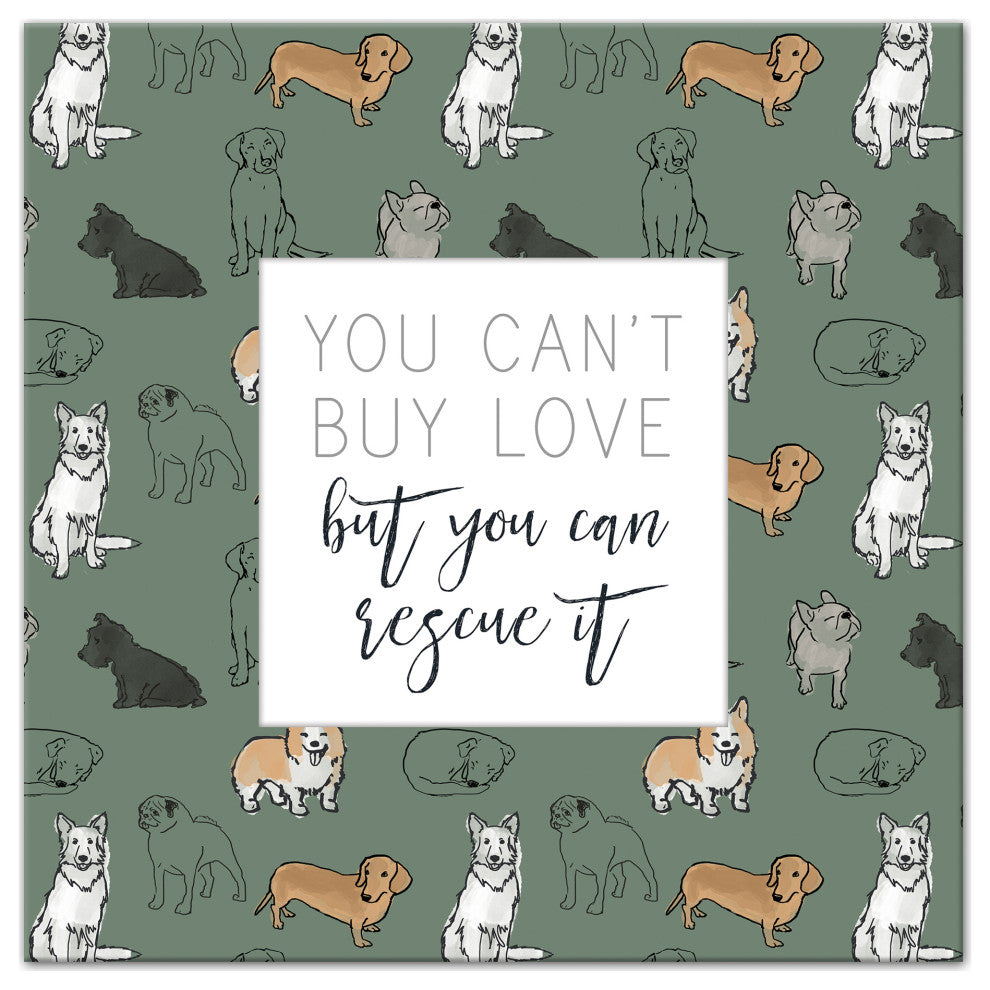 Rescue Cat 16x16 Canvas Wall Art