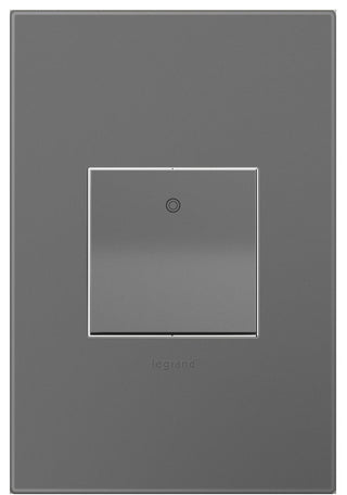 Adorne PaddleTM Switch and Magnesium Wall Plate