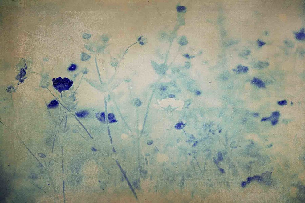"Don t Wait" Painting Print on Canvas by Jorgensen